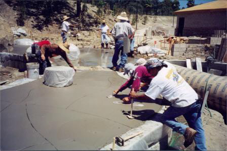 Fossil Imprints in Walkway 1